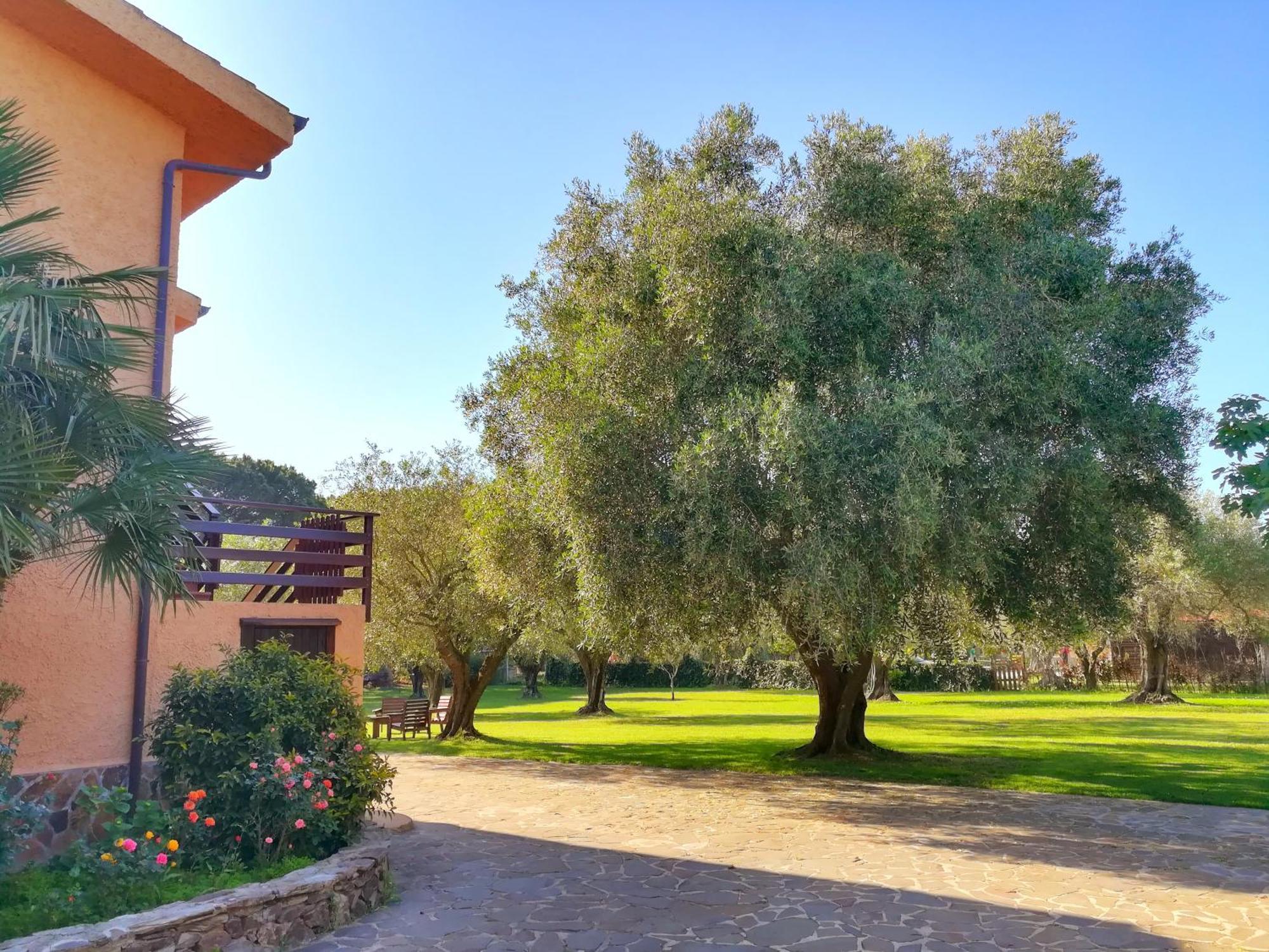 Nuraghe Bianco Bed & Breakfast Santa Maria la Palma Exterior photo